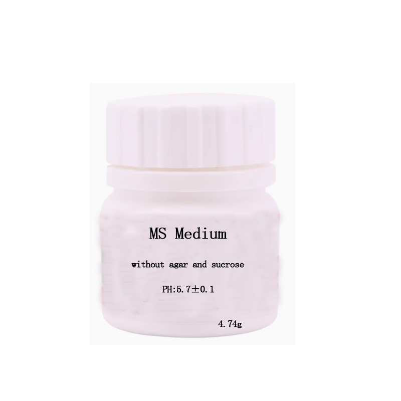 MS medium Without Agar Or Sucr - Agar Tissue Culture บทวิจารณ์และราคา