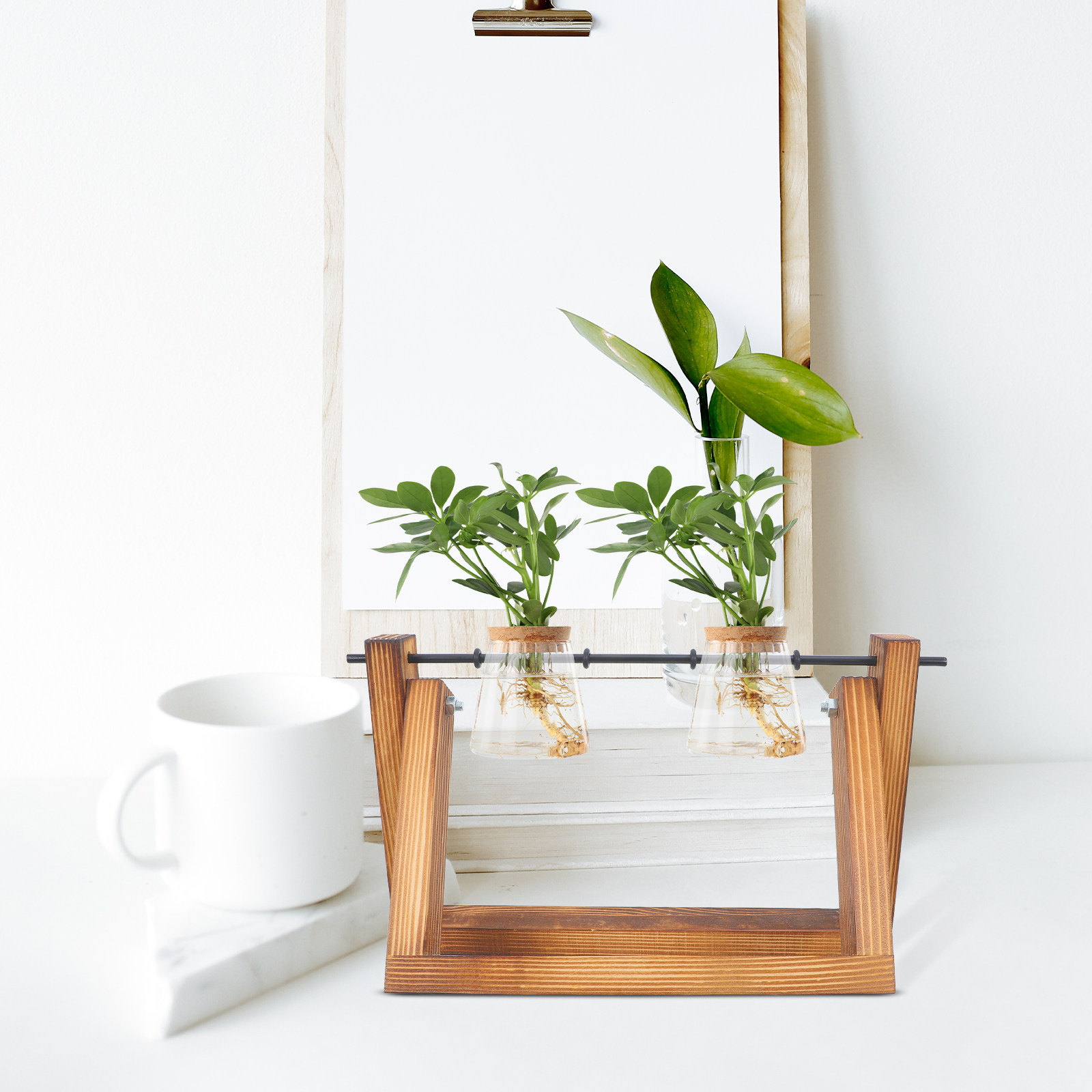 Hydroponic Propagating Jars Ho - Propagation Station Vase บทวิจารณ์และราคา
