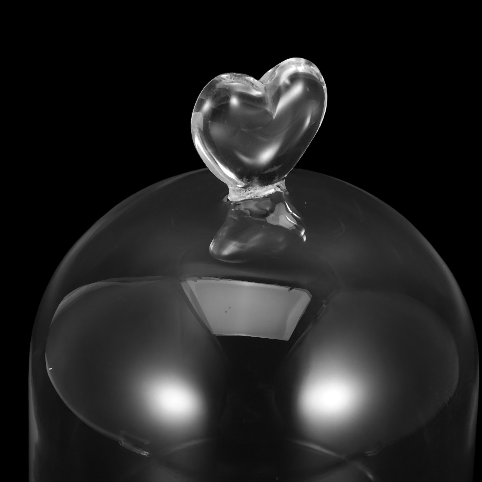 Glass Cloche 6.3x4 Transparent - Plastic Dome Clear บทวิจารณ์และราคา