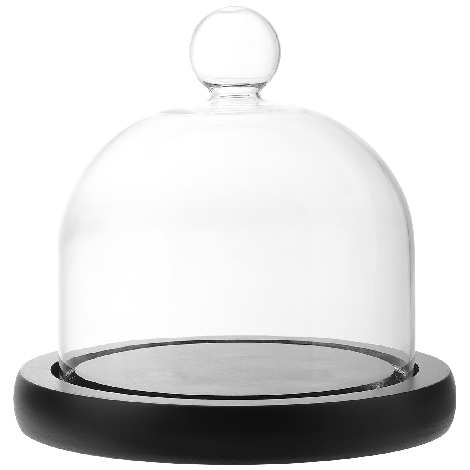 Clear Glass Display Dome for P - Plastic Dome Clear บทวิจารณ์และราคา