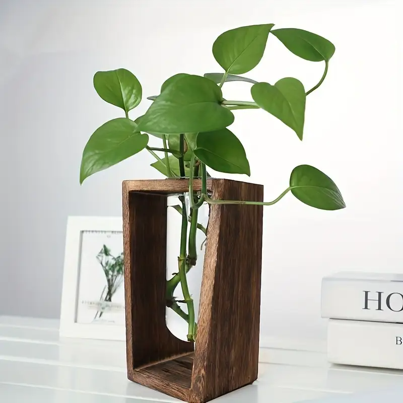 Modern Wood Propagation Vase - - Propagation Station Vase บทวิจารณ์และราคา
