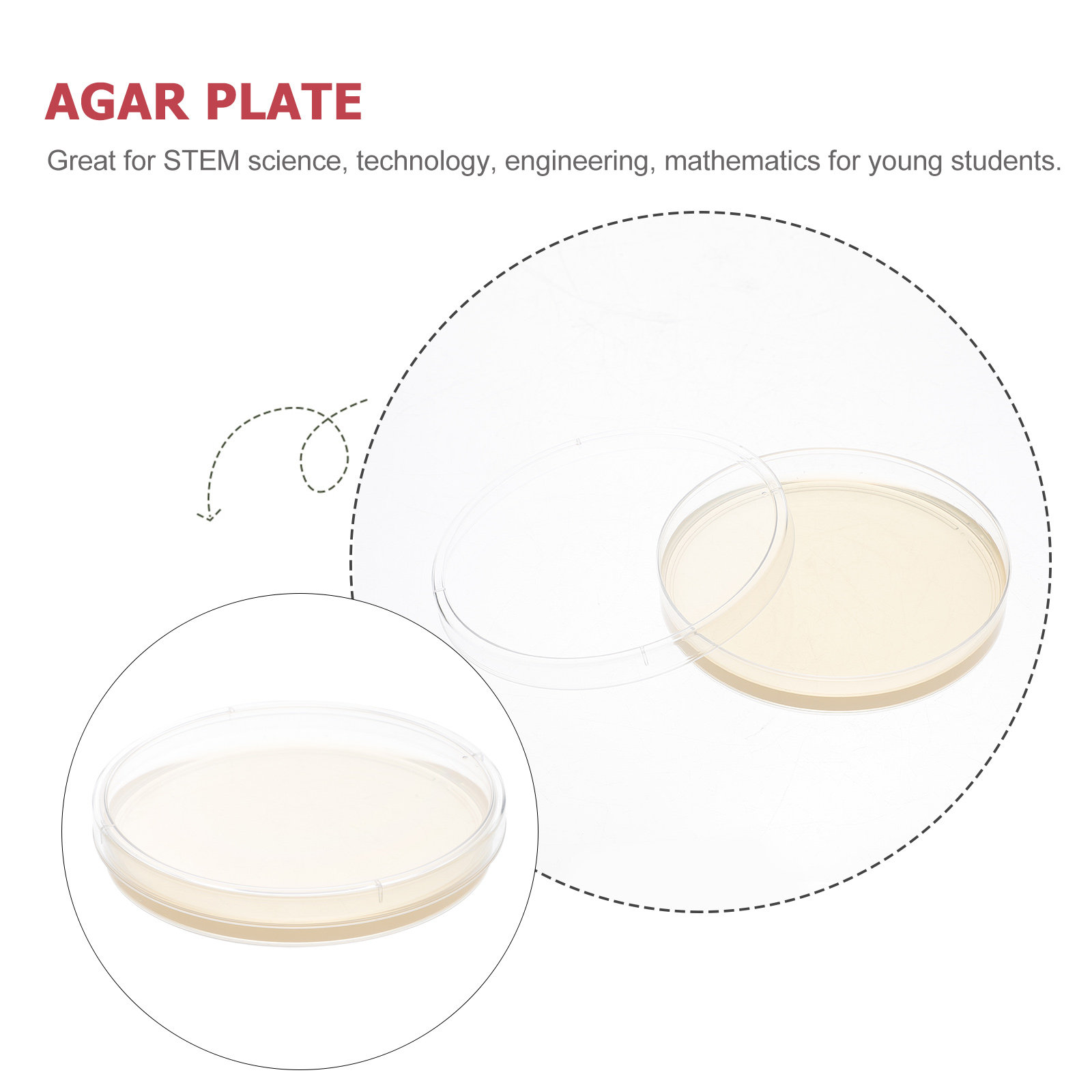 10pcs Nutrient Agar Plates Pre - Agar Tissue Culture บทวิจารณ์และราคา