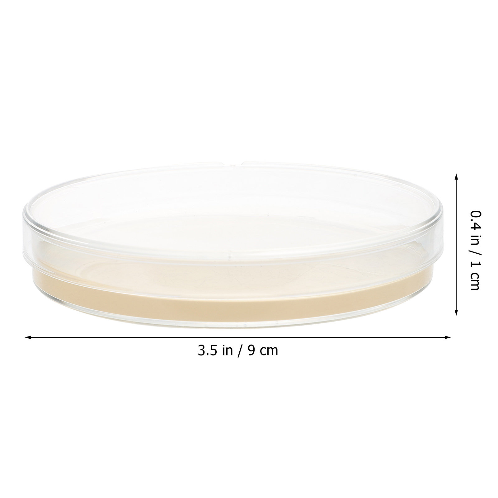 10pcs Nutrient Agar Plates Pre - Agar Tissue Culture บทวิจารณ์และราคา