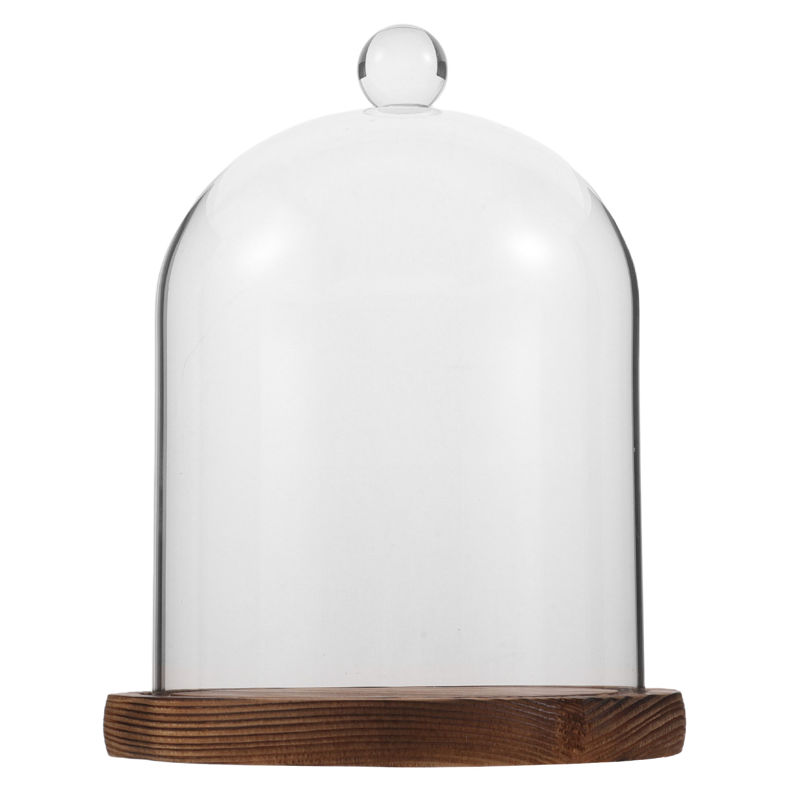 Clear Glass Bell Jar Dome for  - Plastic Dome Clear บทวิจารณ์และราคา