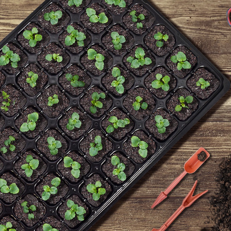 ABGH-10 Pack Seed Starter Tray - Propagation Tray 72 บทวิจารณ์และราคา