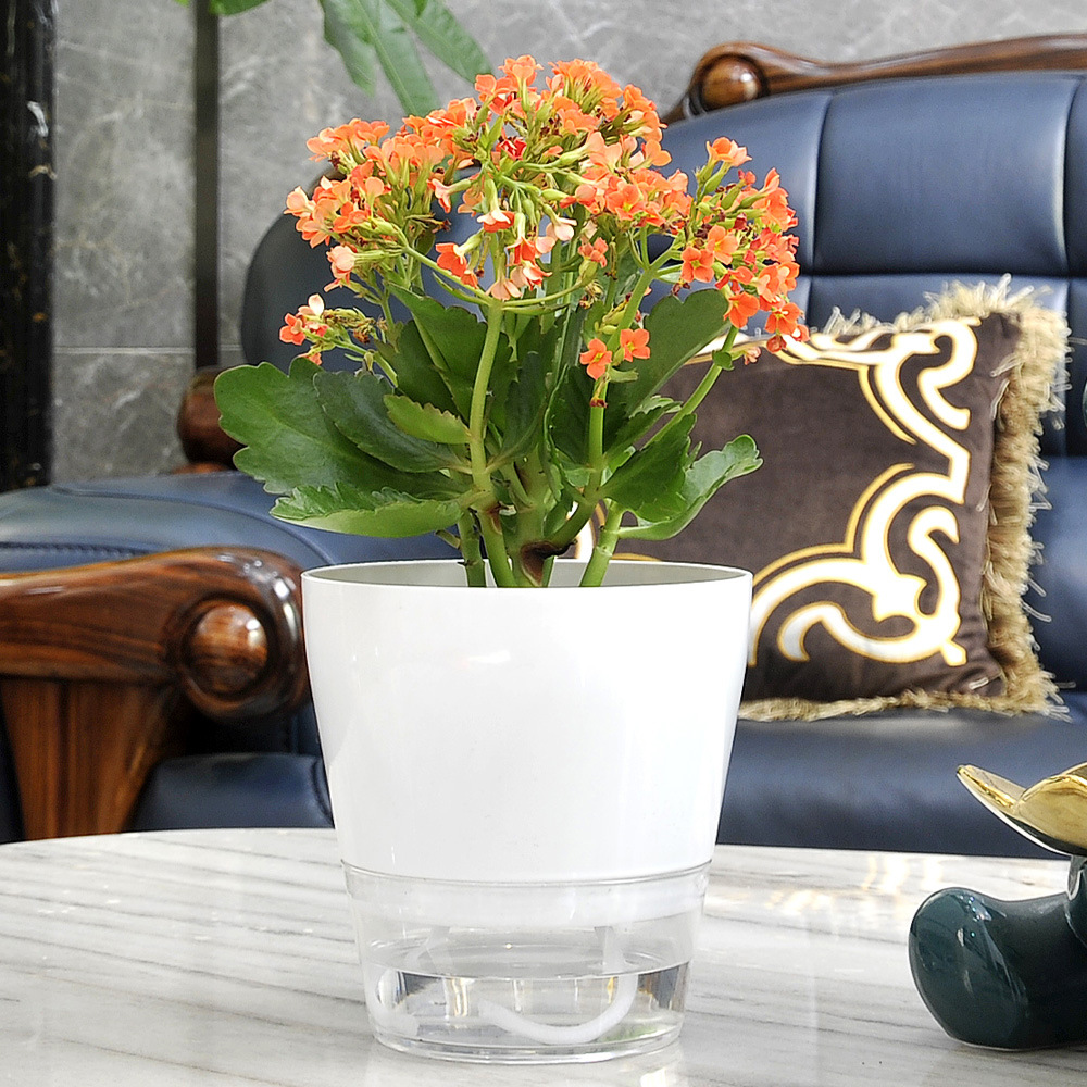 Lazy Flower with Drainage Hole - Self Watering Insert บทวิจารณ์และราคา