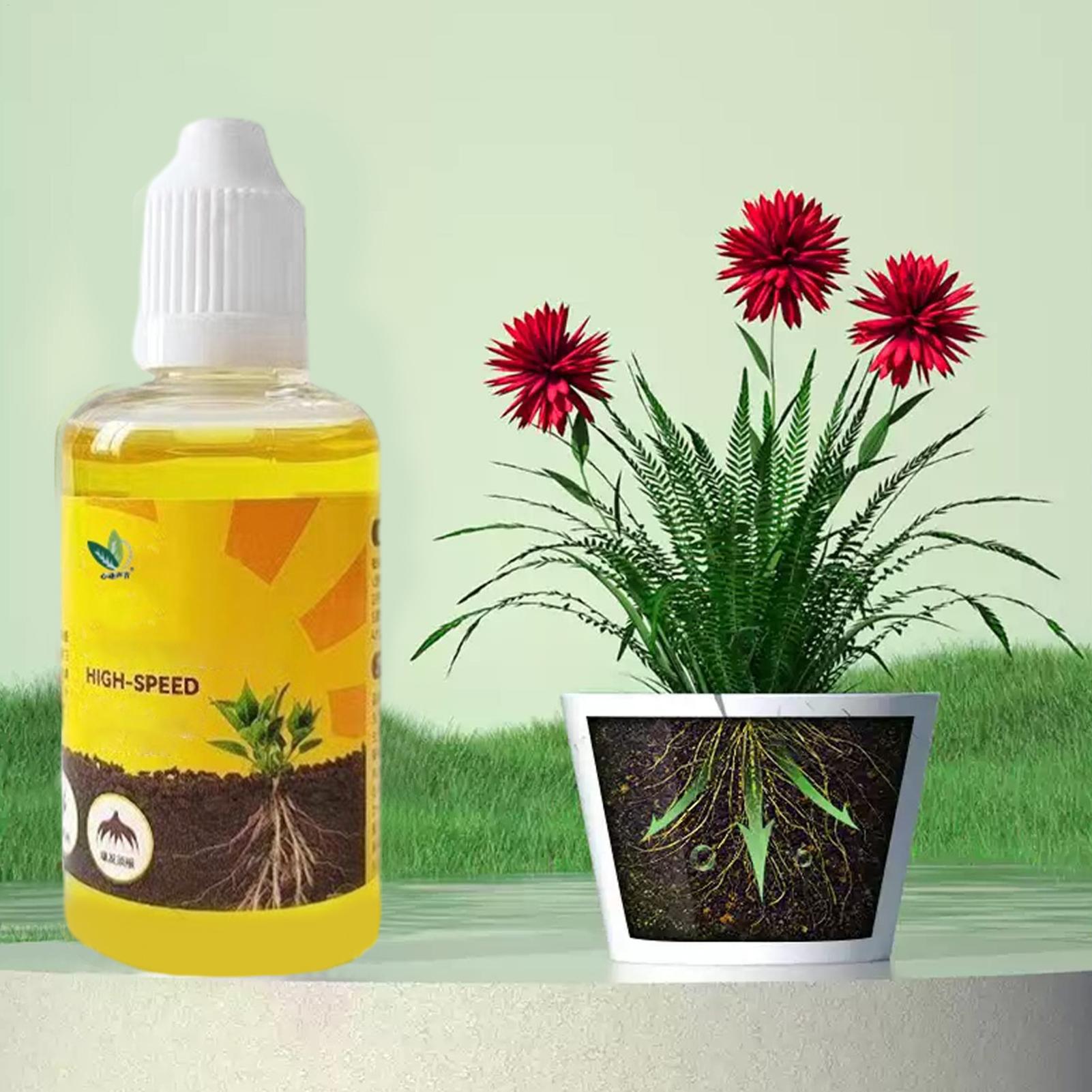 Plant Rapid Rooting Solution 5 - Root Stimulator Liquid บทวิจารณ์และราคา