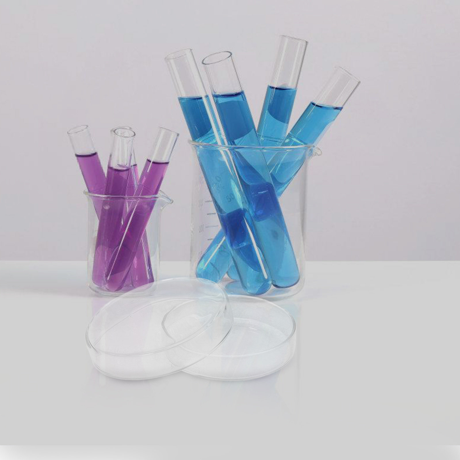 Glass Petri Dish High Borosili - Agar Tissue Culture บทวิจารณ์และราคา