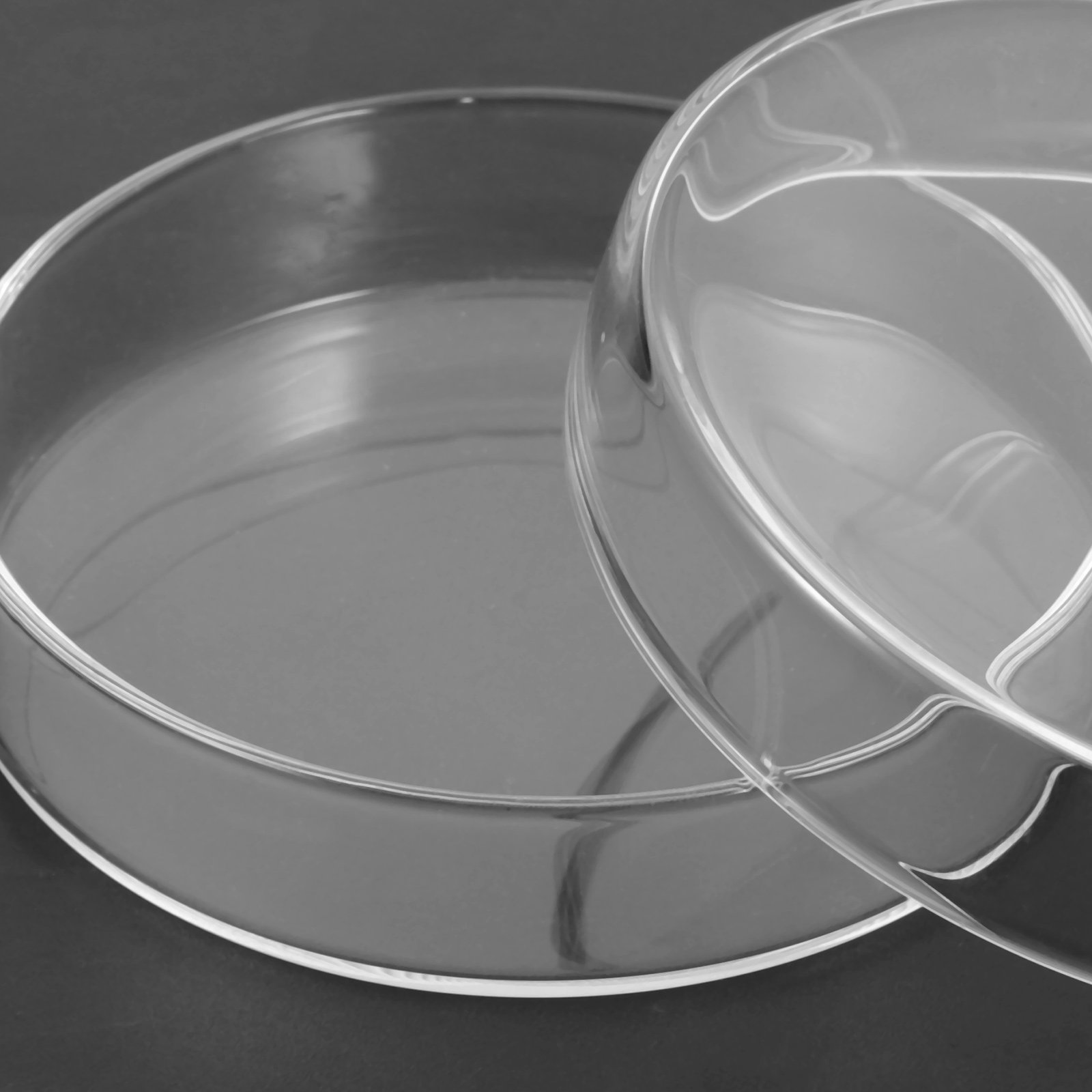 Glass Petri Dish High Borosili - Agar Tissue Culture บทวิจารณ์และราคา