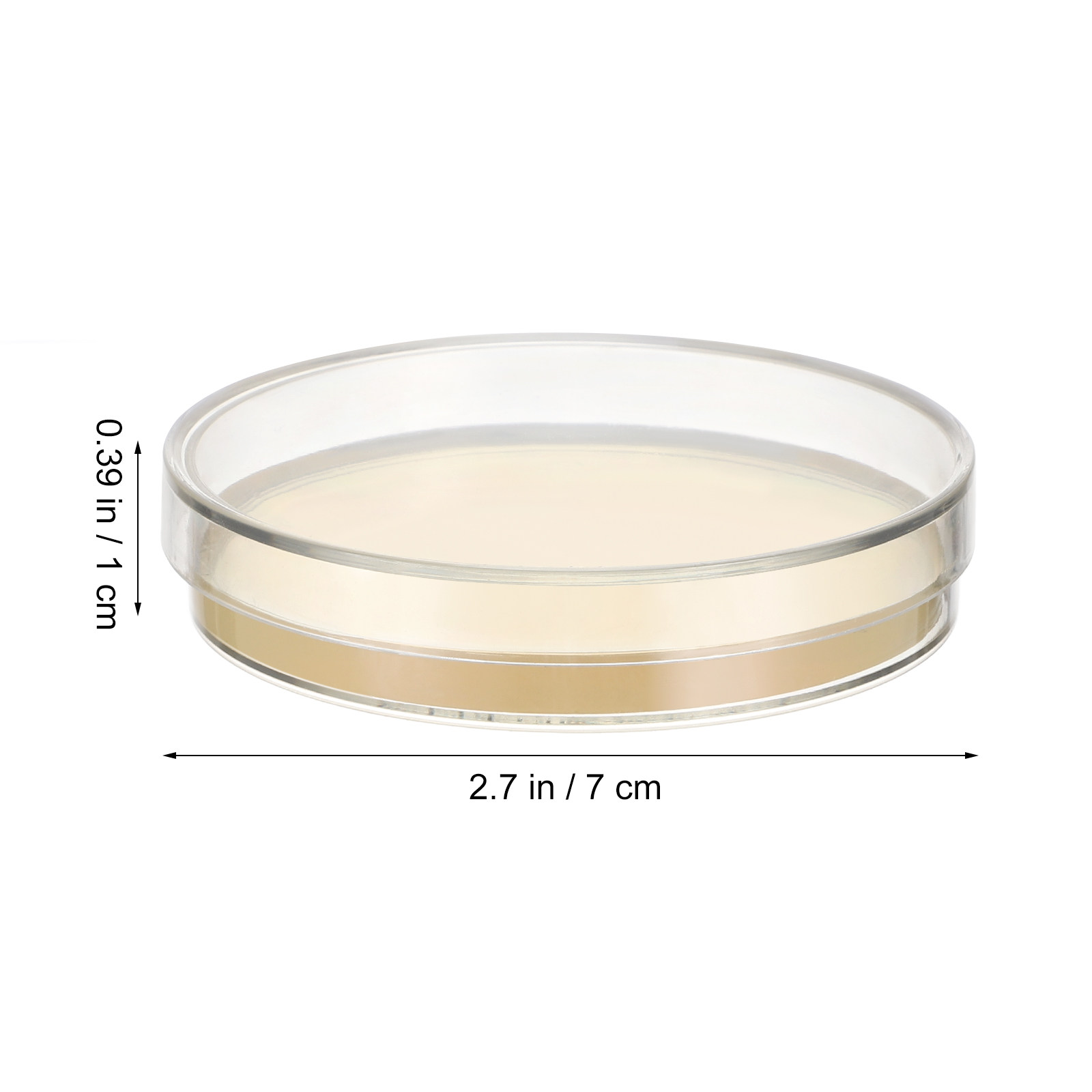 10pcs Pre-filled Agar Plates P - Agar Tissue Culture บทวิจารณ์และราคา