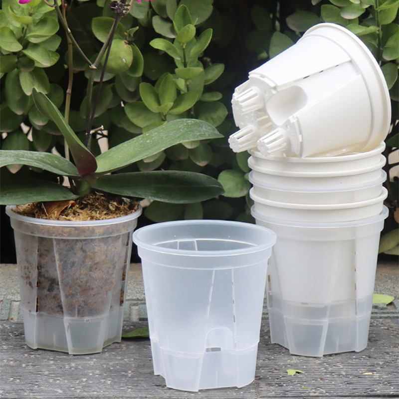 5pcs Transparent Orchid Pot wi - Self Watering Insert บทวิจารณ์และราคา