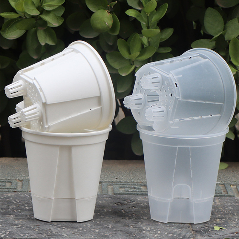 5pcs Transparent Orchid Pot wi - Self Watering Insert บทวิจารณ์และราคา